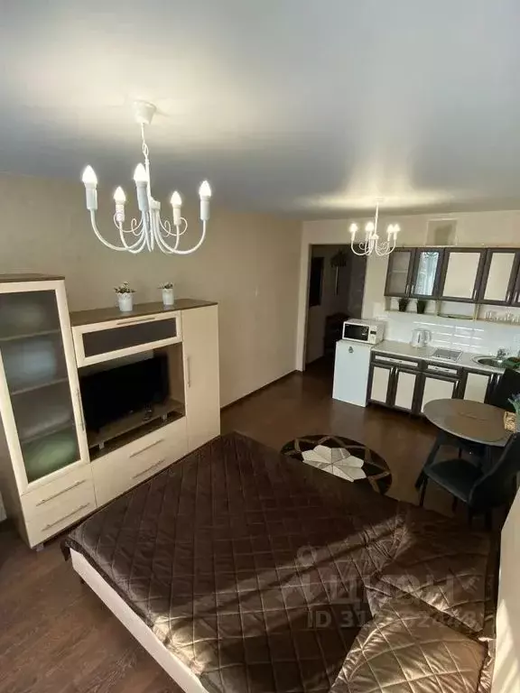 Студия Кировская область, Киров ул. Азина, 17 (25.0 м) - Фото 1