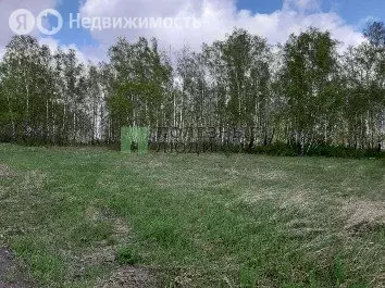 Участок в Емельяновский район, Элитовский сельсовет, садоводческое ... - Фото 0