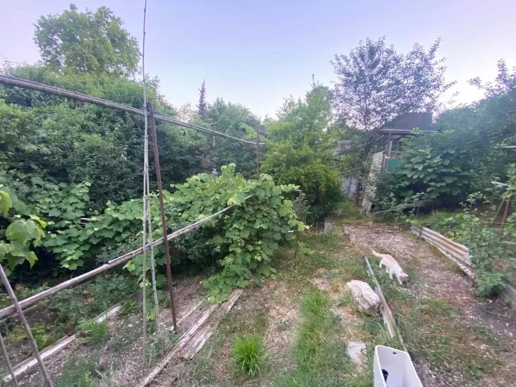 Дом в Краснодарский край, Сочи Совет-Квадже мкр, ул. Сибирская, 38/1 ... - Фото 1