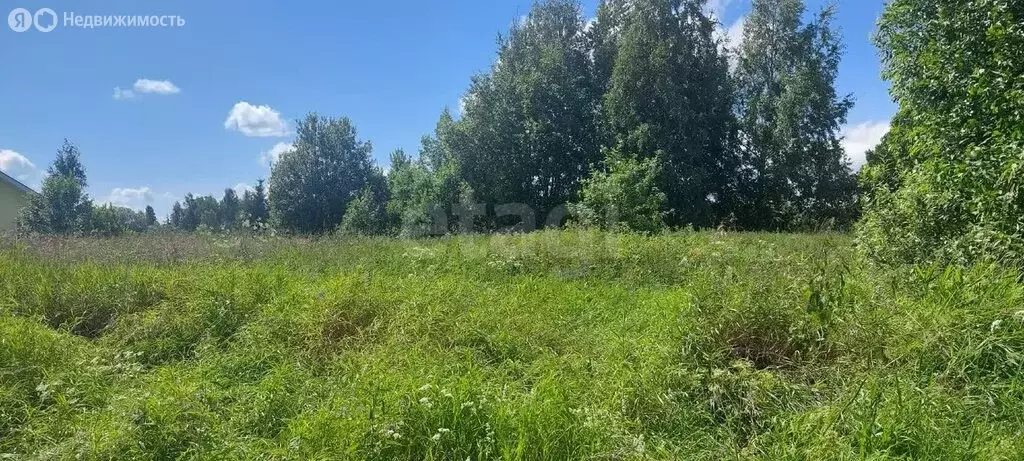 Участок в Вологодский муниципальный округ, деревня Петровское (10 м) - Фото 1