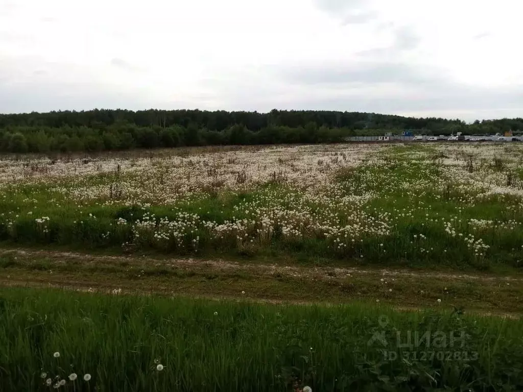 Участок в Московская область, Ленинский городской округ, с. ... - Фото 0