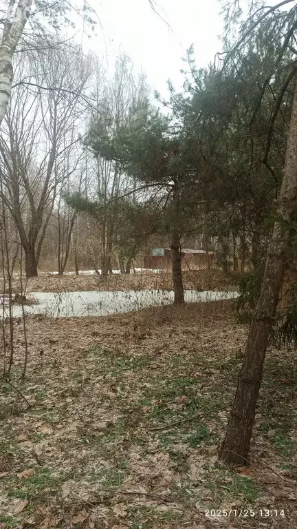 Участок в Московская область, Раменский муниципальный округ (12 м) - Фото 1