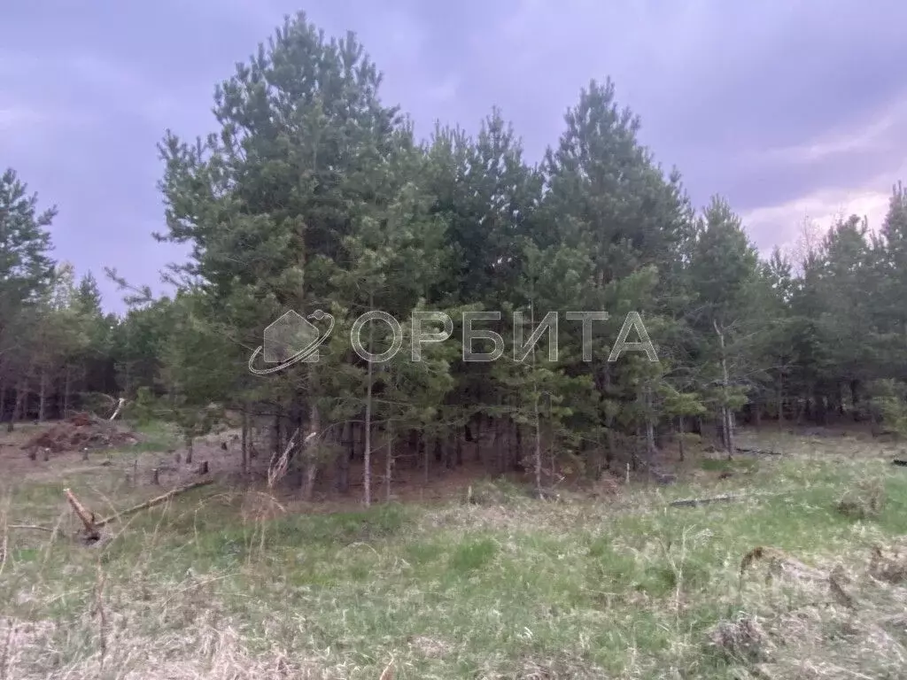 Участок в Свердловская область, Тугулымский муниципальный округ, д. ... - Фото 2