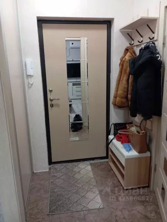 Студия Санкт-Петербург пос. Шушары, Школьная ул., 15 (24.0 м) - Фото 1