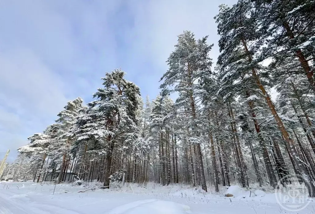 Участок в Ленинградская область, Выборгский район, Полянское с/пос, ... - Фото 1
