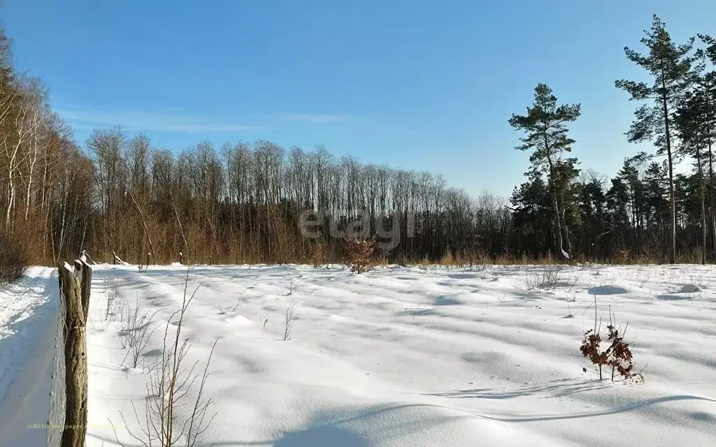 Участок в Татарстан, Зеленодольский район, Айшинское с/пос, Лесной ... - Фото 0