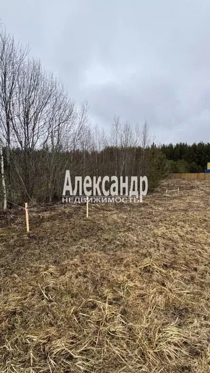 Участок в Ленинградская область, Выборгский район, Гончаровское с/пос, ... - Фото 1