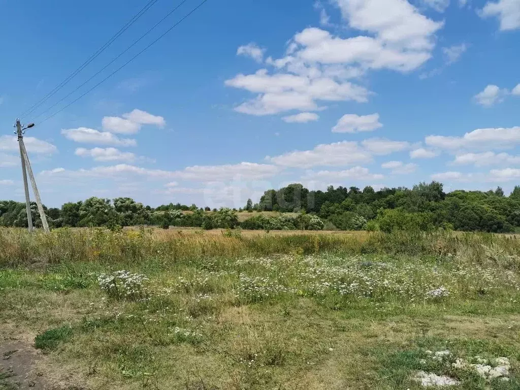 Участок в Мордовия, Рузаевский район, с. Шишкеево ул. Мира (13.0 сот.) - Фото 1