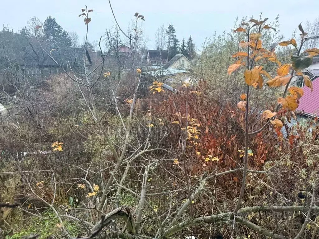 Участок в Санкт-Петербург Дружный-1 СНТ, 7-я линия, 24 (4.71 сот.) - Фото 2