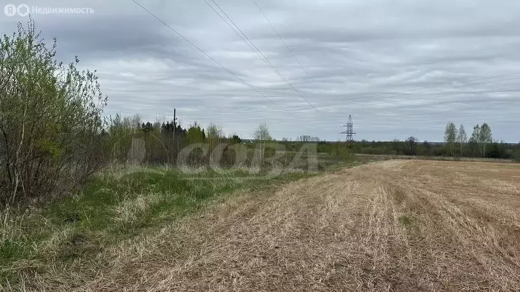 Участок в Свердловская область, Тугулымский муниципальный округ, ... - Фото 0