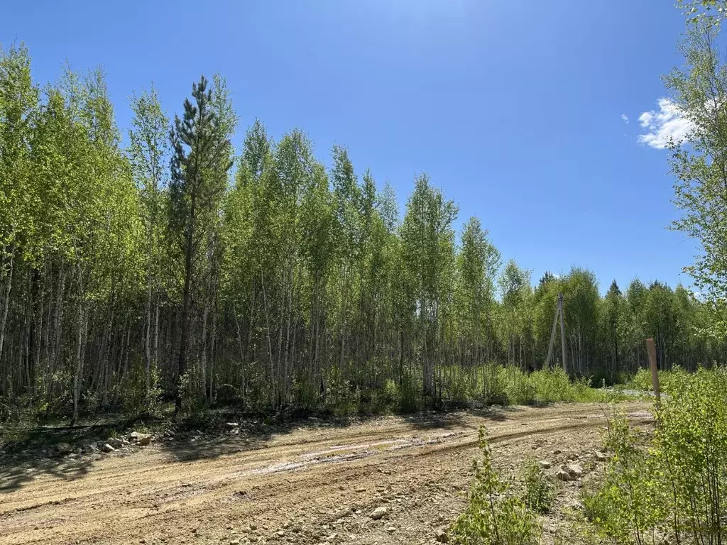 Участок в Челябинская область, Аргаяшский муниципальный округ, Увильды ... - Фото 1