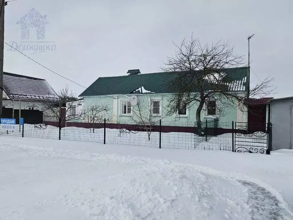 Дом в Воронежская область, Семилукский район, с. Девица Песчаная ул., ... - Фото 2