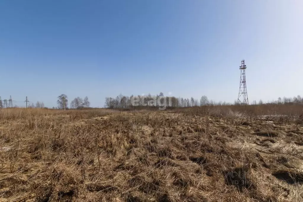 Участок в Тюменская область, Тюменский район, с. Борки  (13.0 сот.) - Фото 1