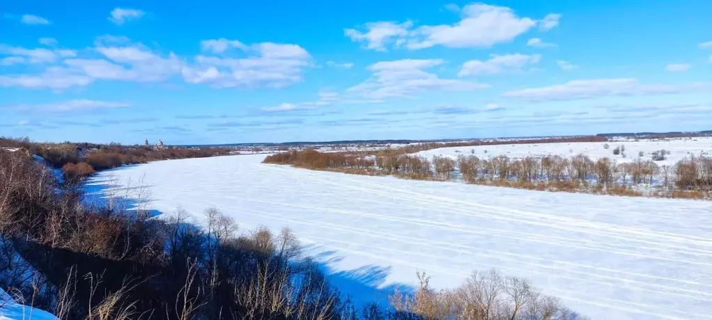 Участок в Рязанская область, Спасский муниципальный округ, с. Троица  ... - Фото 1