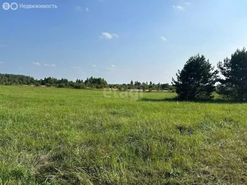 участок в московская область, городской округ серпухов, деревня . - Фото 1