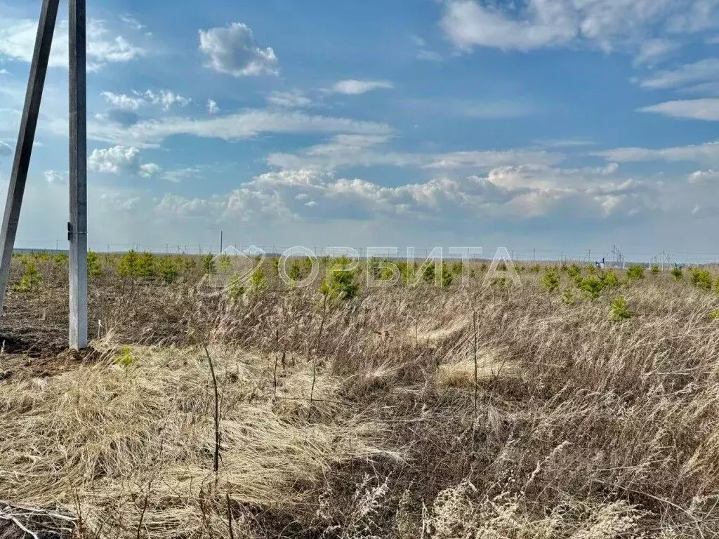 Участок в Тюменская область, Тюменский район, д. Есаулова ул. Гайдара, ... - Фото 1
