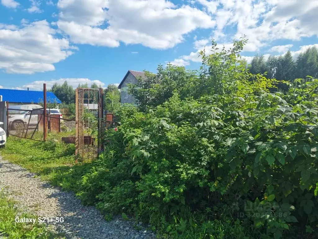 Участок в Свердловская область, Екатеринбург Уктус-2 СНТ,  (6.0 сот.) - Фото 1