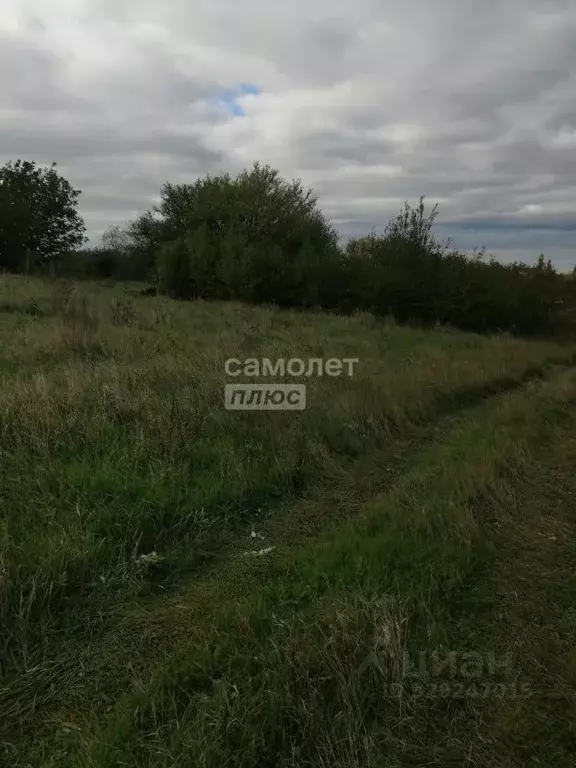 Участок в Краснодарский край, Анапа муниципальный округ, пос. ... - Фото 1