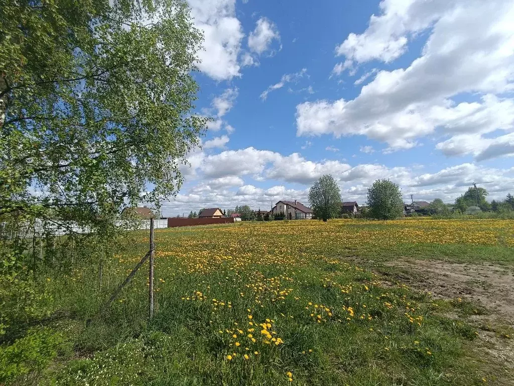 Участок в Новгородская область, Новгородский район, Савинское с/пос, ... - Фото 0