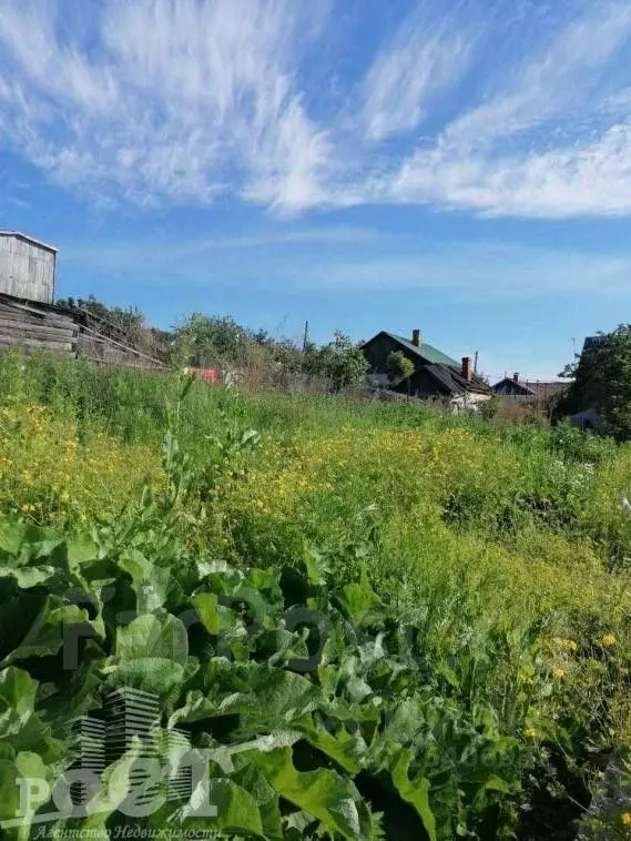 Дом в Приморский край, Артем Коллективная ул., 10 (32 м) - Фото 1