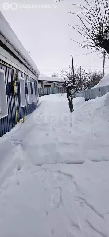 Дом в Щёкино, 4-й Бытовой проезд (80 м) - Фото 2