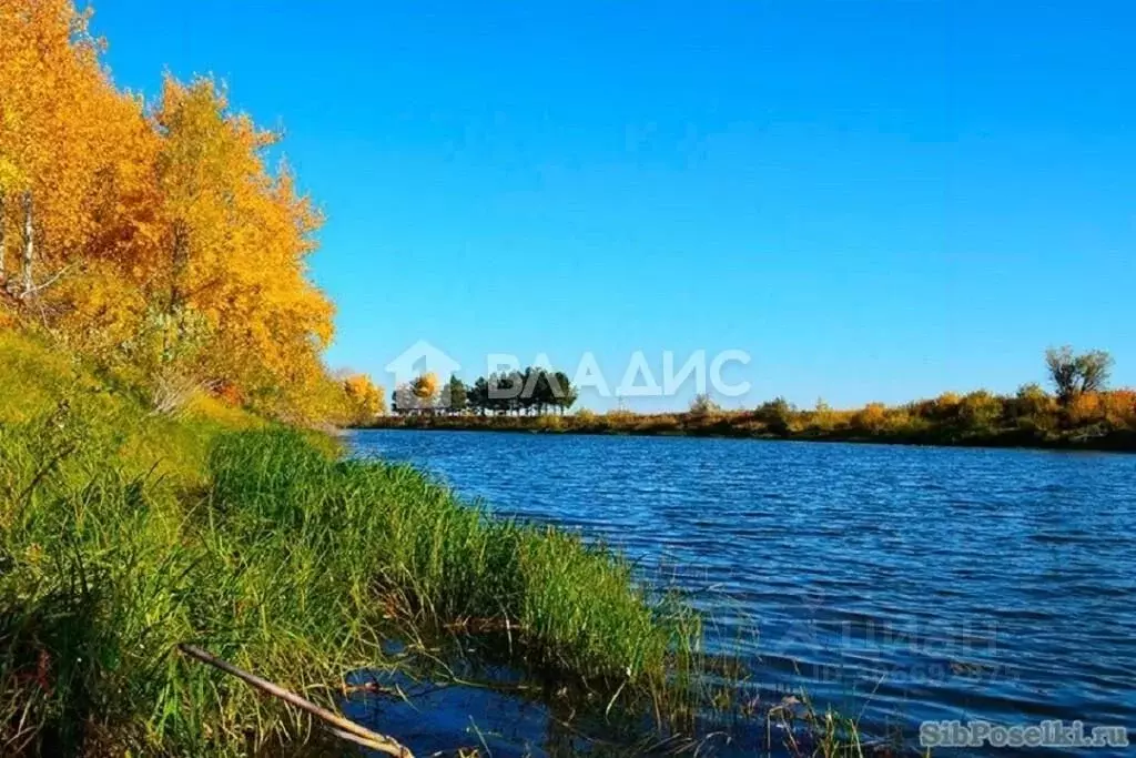 Участок в Новосибирская область, Колыванский район, Сибирская Волость ... - Фото 1