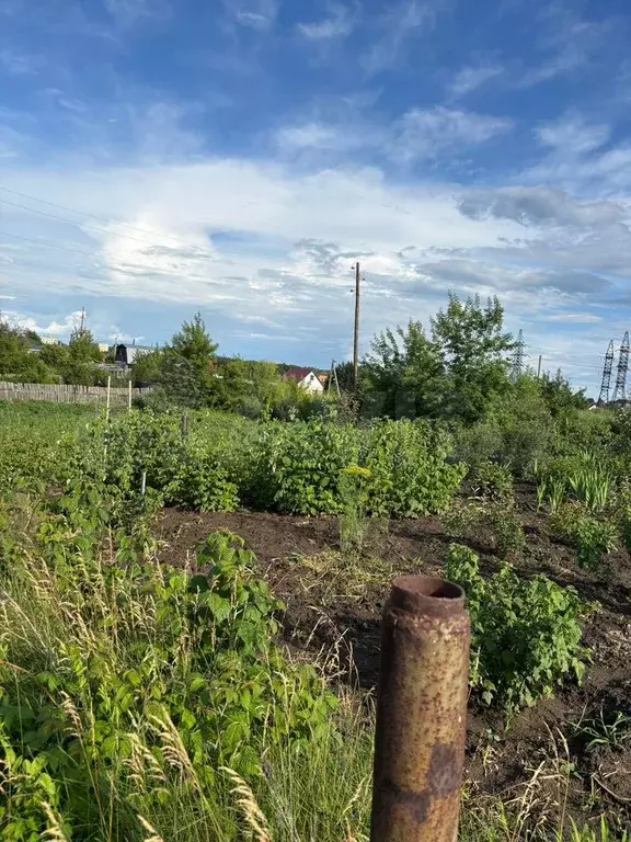 Участок 6 сот. (СНТ, ДНП) - Фото 1