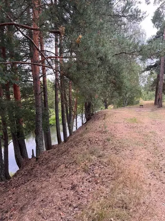 Участок в Владимирская область, Киржачский район, Филипповское ... - Фото 0