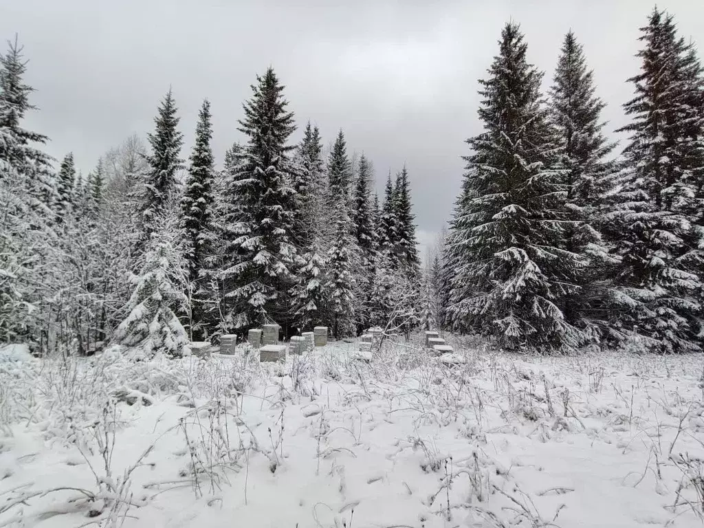 Участок, 13 сот., поселения (ижс) - Фото 2