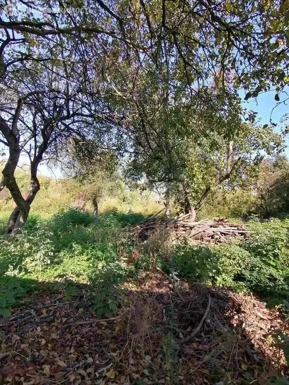 Участок в Муром, Орловская улица (40 м) - Фото 1