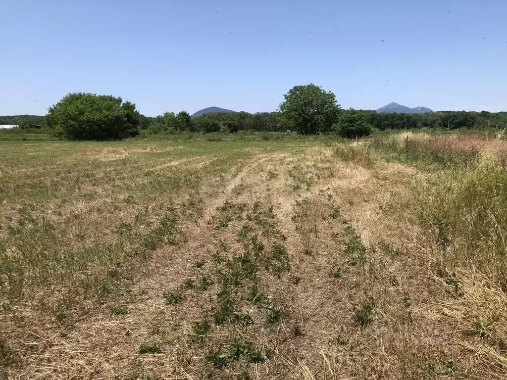 Участок в Ставропольский край, Пятигорск городской округ, пос. ... - Фото 1