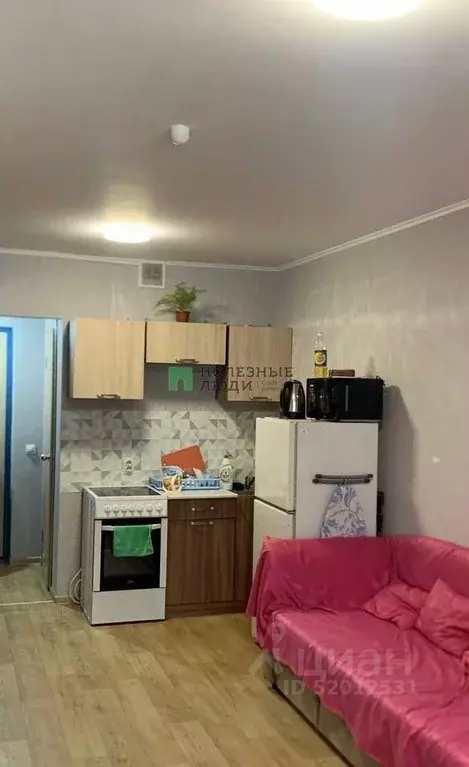 Студия Удмуртия, Ижевск Нижняя ул, 2 (27.0 м) - Фото 1