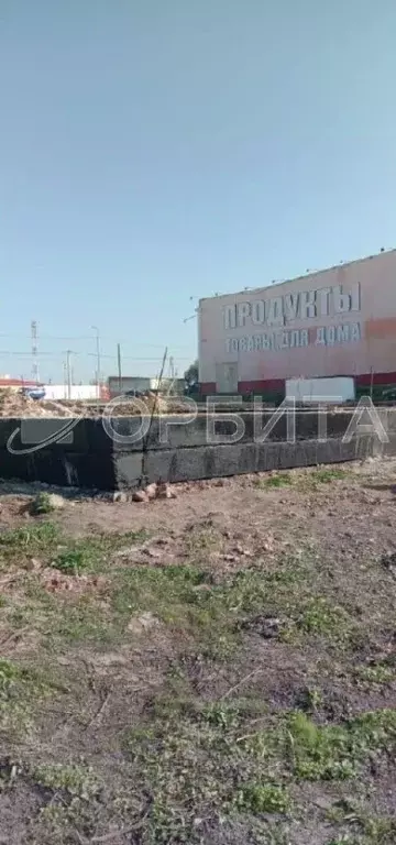 Участок в Тюменская область, с. Абатское ул. Ленина (16.0 сот.) - Фото 2