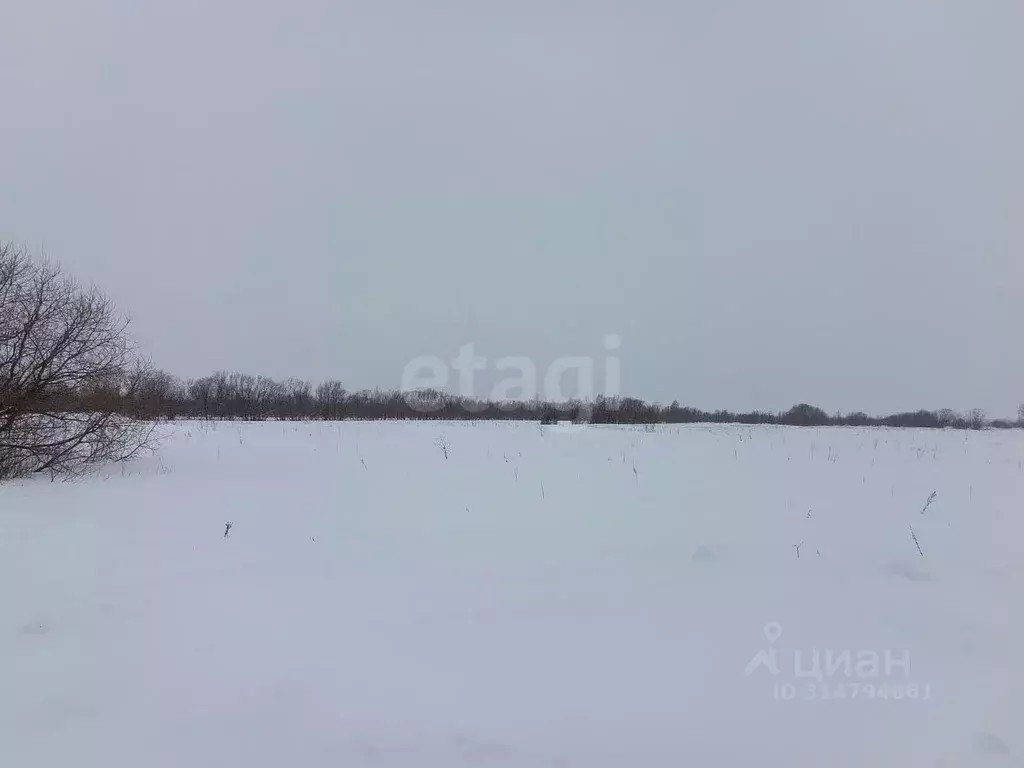 Участок в Архангельская область, Приморский муниципальный округ, д. ... - Фото 1