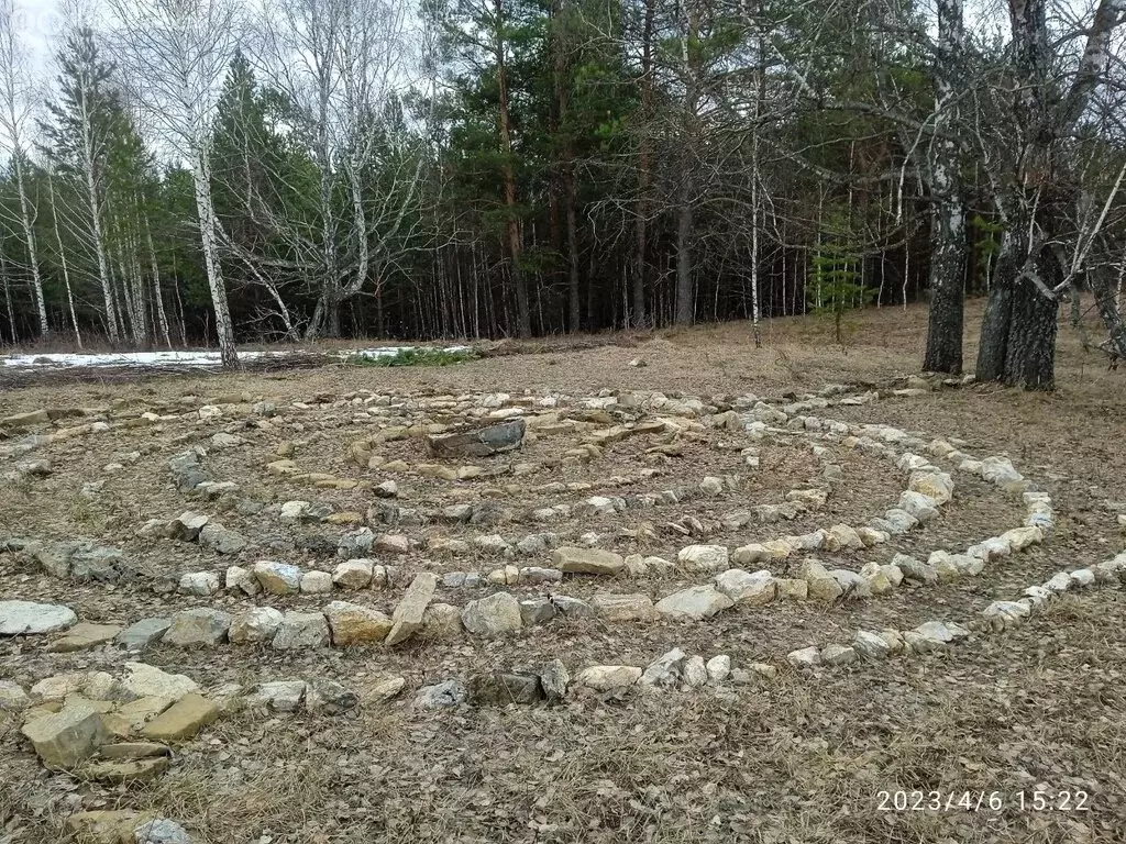 Участок в Свердловская область, Артинский муниципальный округ, село ... - Фото 2