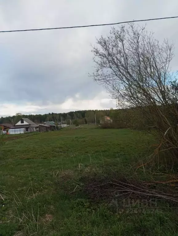 Участок в Кировская область, Белая Холуница ул. Боровая (10.0 сот.) - Фото 1