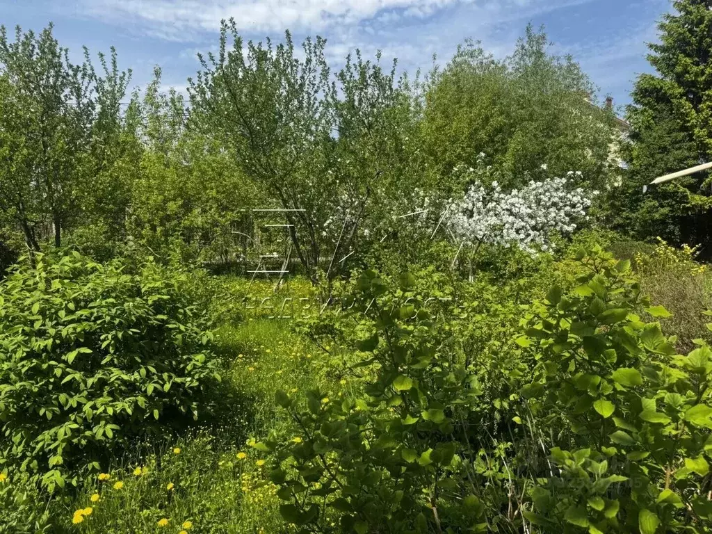 Участок в Санкт-Петербург, Санкт-Петербург, Петергоф ул. ... - Фото 2