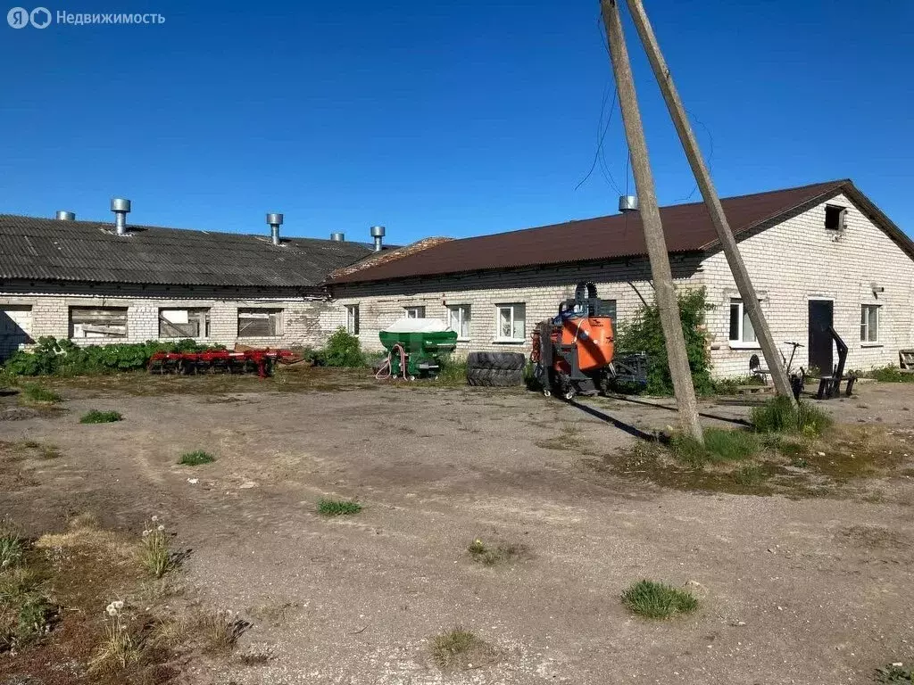 Производственное помещение (1800 м) - Фото 2