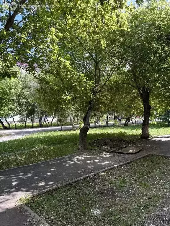 1-комнатная квартира: Курган, Проходная улица, 5 (25 м) - Фото 1