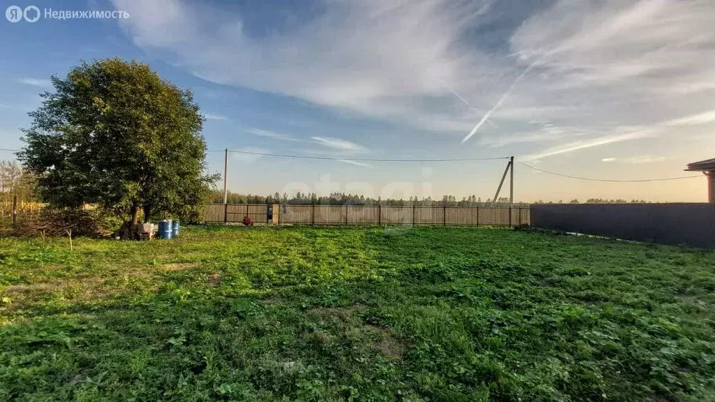 Участок в Ярославский муниципальный округ, деревня Игнатово (15 м) - Фото 1