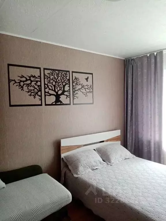 1-к кв. Забайкальский край, Краснокаменск 4-й мкр, 407 (31.0 м) - Фото 1