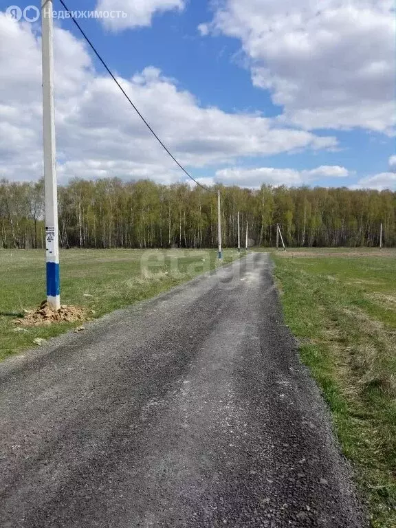 Участок в Московская область, муниципальный округ Чехов, деревня ... - Фото 2