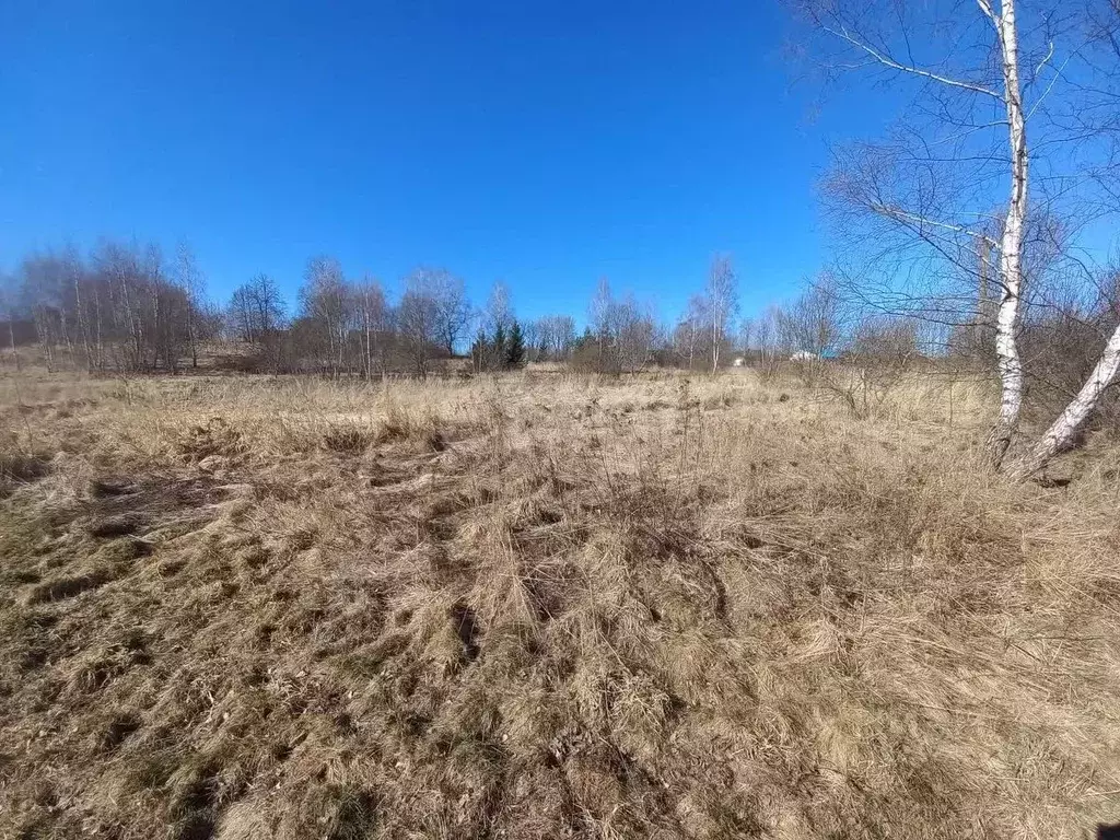 Участок в Смоленская область, Смоленский муниципальный округ, д. ... - Фото 1