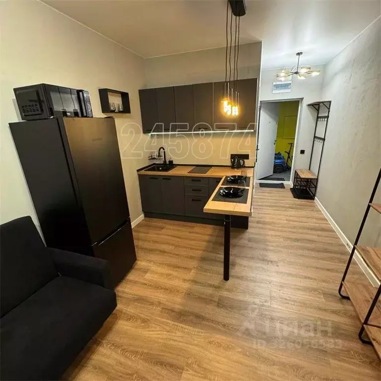 Студия Московская область, Красногорск городской округ, пос. ... - Фото 1