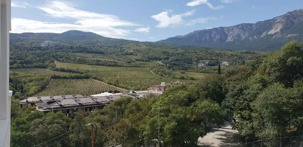 1-к кв. Крым, Ялта ул. Кирова, 155Ак1 (34.7 м) - Фото 1