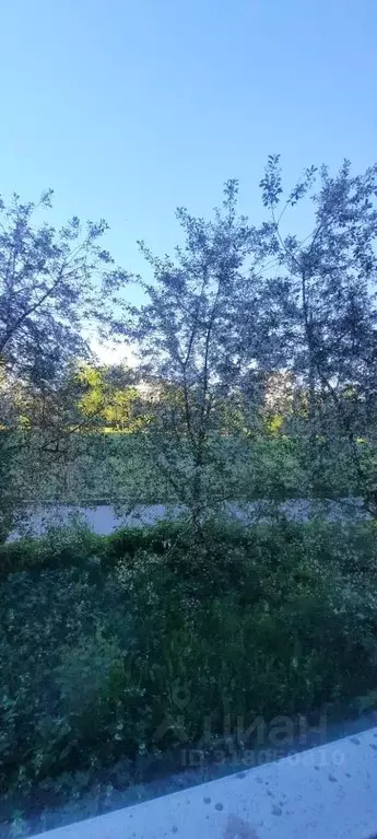 2-к кв. Санкт-Петербург ул. Белы Куна, 23 (44.1 м) - Фото 0