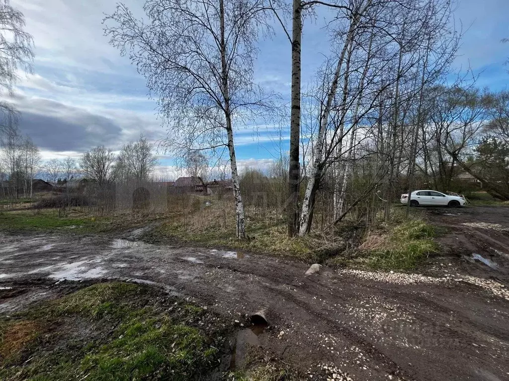 Участок в Новгородская область, Боровичи ул. Салтыкова-Щедрина, 9 ... - Фото 1