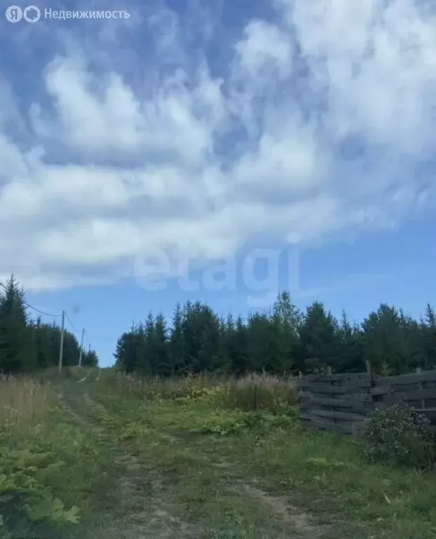 Участок в Пермский муниципальный округ, деревня Кулики (20 м) - Фото 0