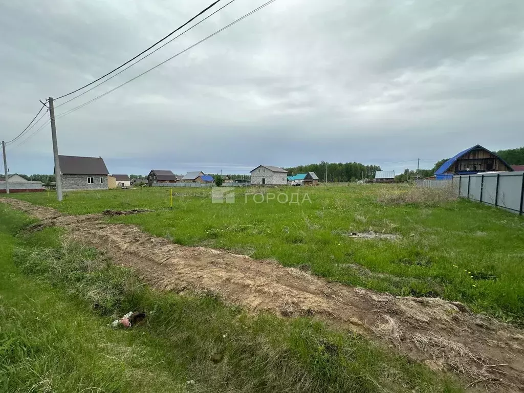 Участок в Новосибирская область, Коченево рп 10-я линия, 15 (10.0 ... - Фото 0