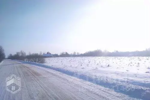 Участок в Новгородская область, Новгородский район, Борковское с/пос, ... - Фото 1